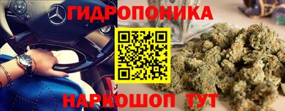 трава Нарткала